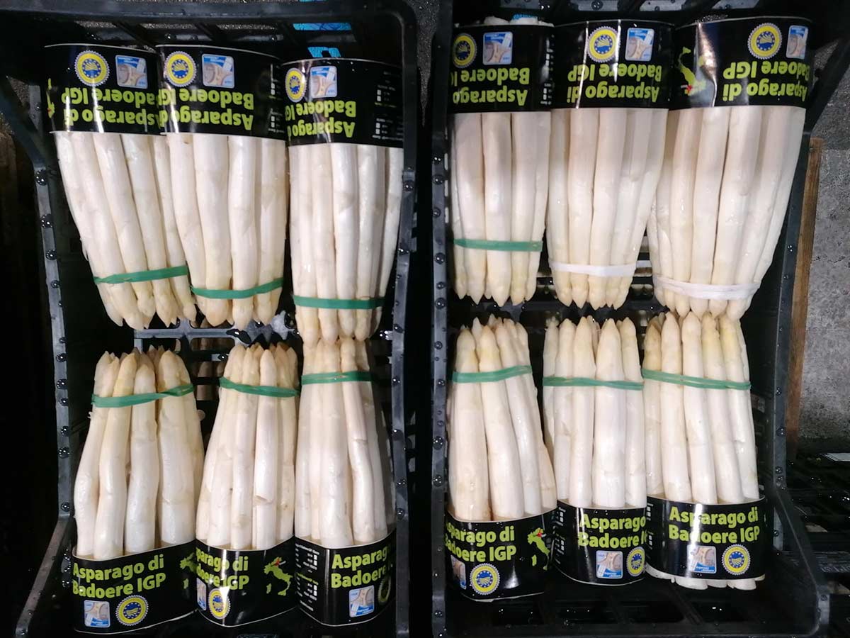 Asparago di Badoere IGP prezzo 6-8 €/Kg